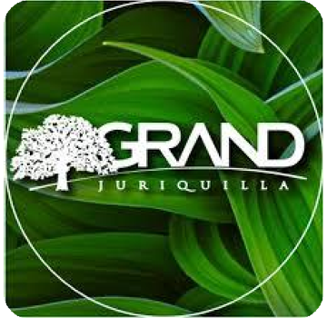 Logo Cliente 1